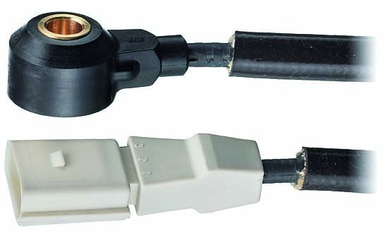 2004-2006 Volkswagen Phaeton Ignition Knock (Detonation) Sensor (Facet)