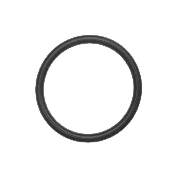 2001-2005 Saturn L300 Engine Coolant Pipe O-Ring (Facet)