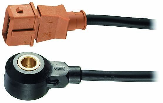 2000-2001 Audi A6 Ignition Knock (Detonation) Sensor (Facet)