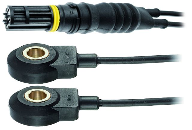 1996-1998 BMW Z3 Ignition Knock (Detonation) Sensor (Facet)