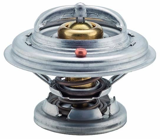 1994-1995 Mercedes-Benz S350 Engine Coolant Thermostat (Facet)