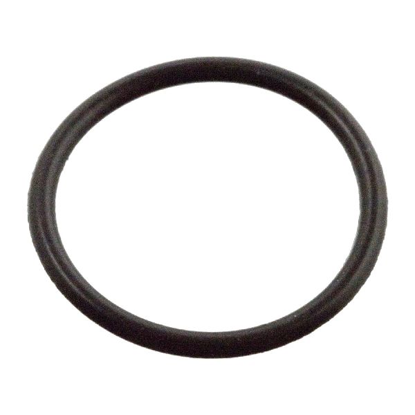 2012-2018 Audi A6 Fuel Injector O-Ring (Febi)