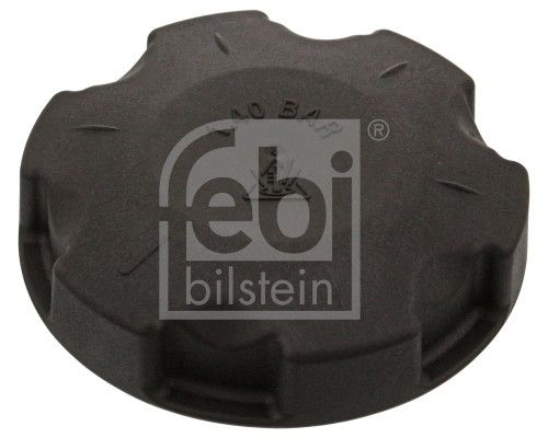2020 BMW X6 Radiator Cap (Febi)