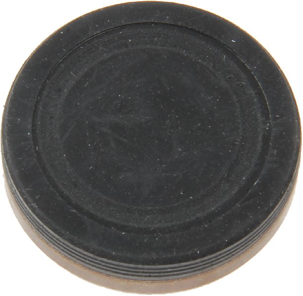 2015-2018 Mercedes-Benz C300 Engine Camshaft Cap (Febi)