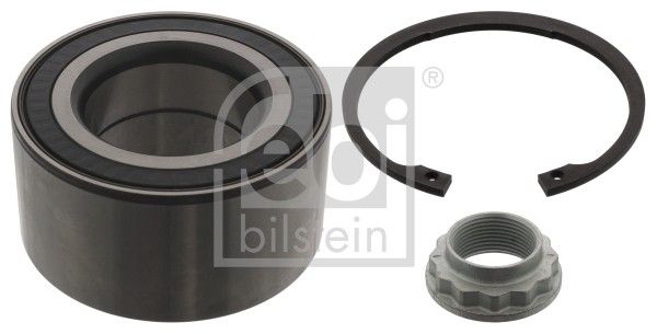 2000-2006 BMW X5 Wheel Bearing Kit - Front (Febi)