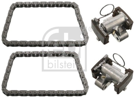 1999-2001 BMW 740i Engine Timing Chain Kit (Febi)
