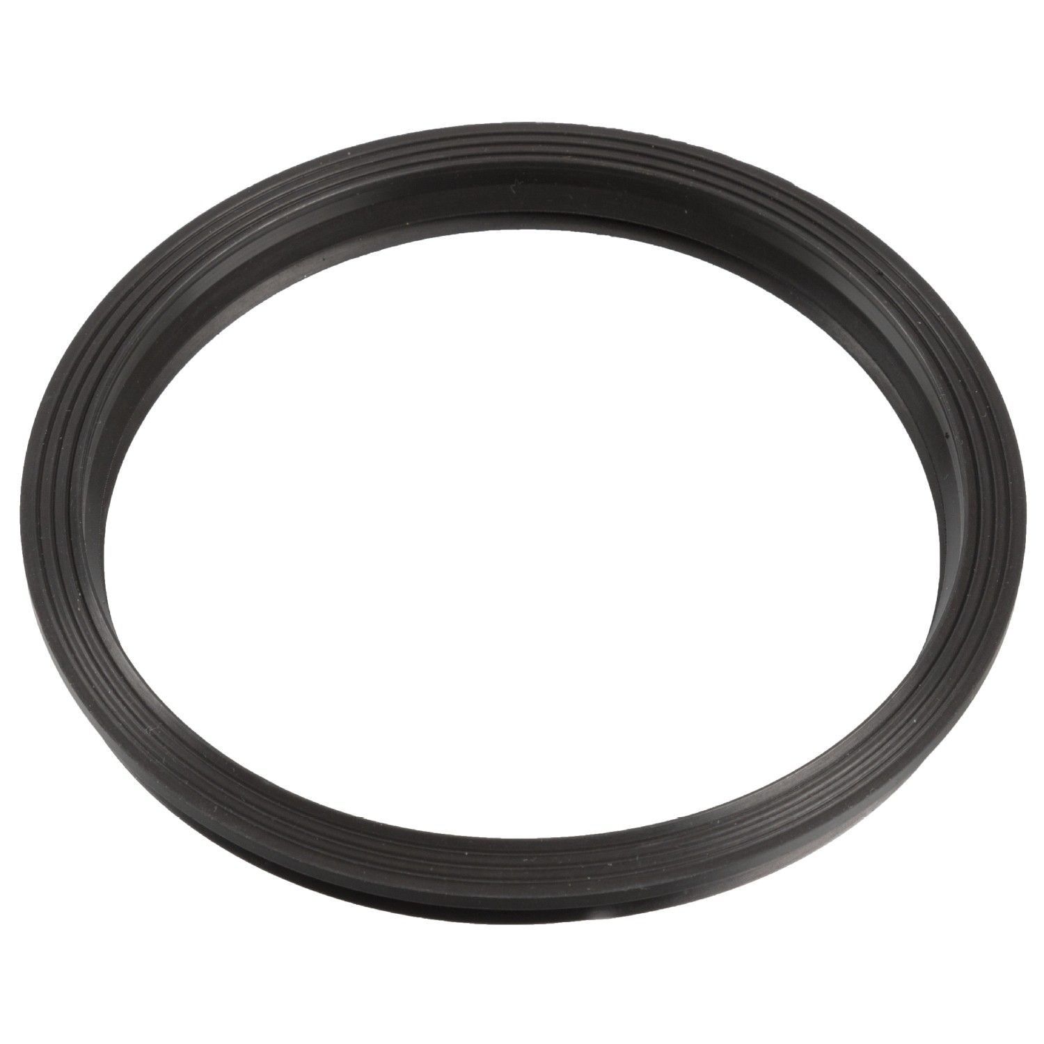 Fuel Pump Tank Seal