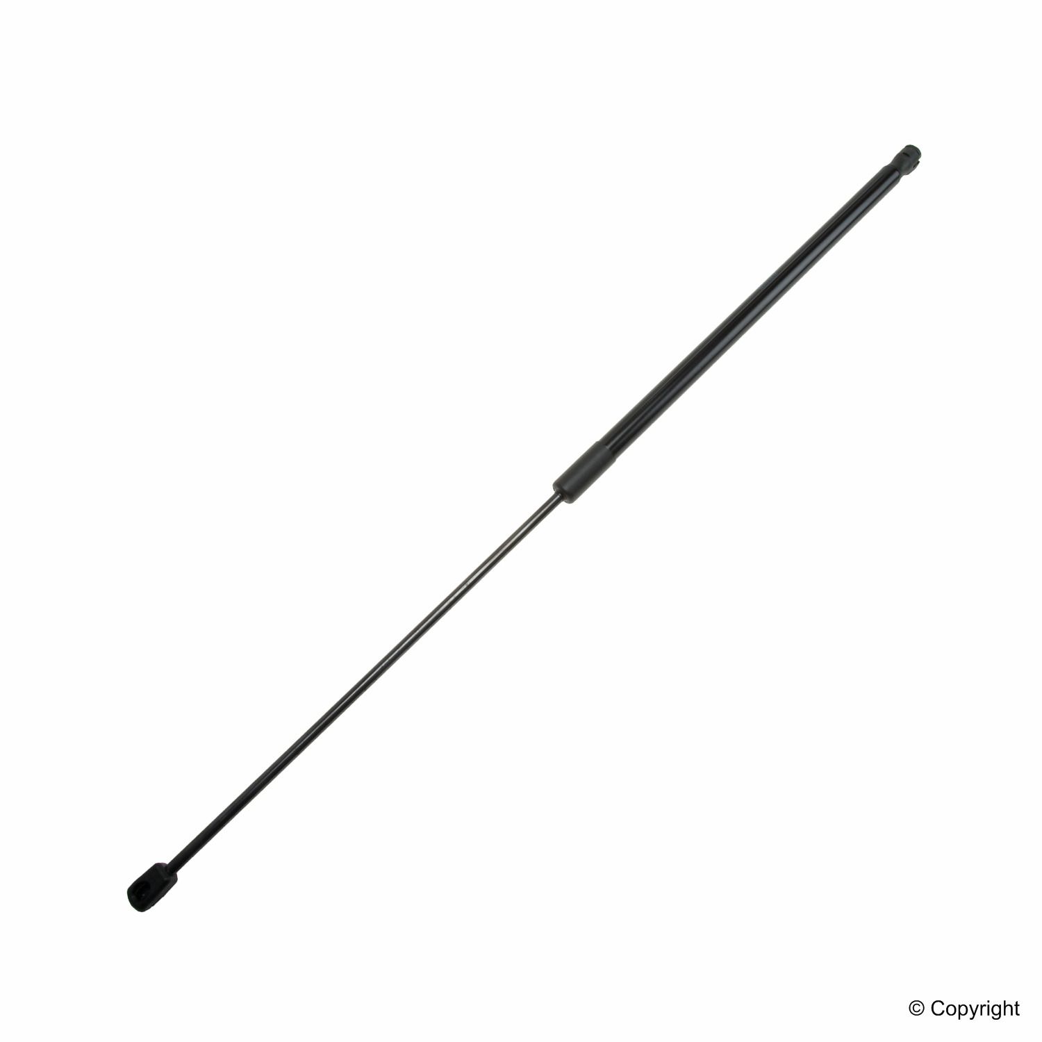 Hood Lift Support