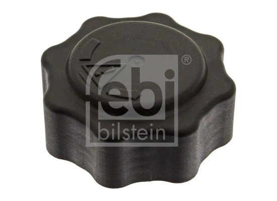 2008, 2007, 2006, 2005, 2004, 2003, 2002 Mini Cooper Radiator Cap
