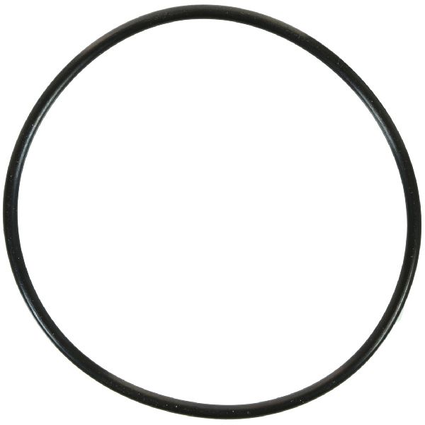 1993-2002 Cadillac Eldorado Engine Water Pump O-Ring (FelPro)