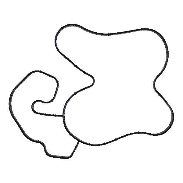 2014-2018 Ram 4500 Engine Water Pump Gasket (FelPro)