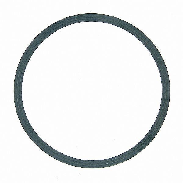 2005-2008 Chrysler Pacifica Engine Water Pump Cover Seal (FelPro)