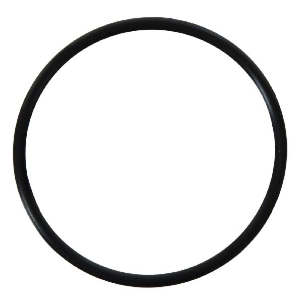 1995-2005 Volkswagen Golf Engine Water Pump O-Ring (FelPro)