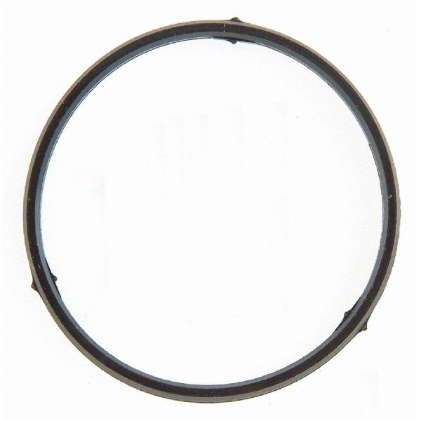 2003-2012 Mitsubishi Eclipse Fuel Injection Idle Air Control Valve Seal (FelPro)