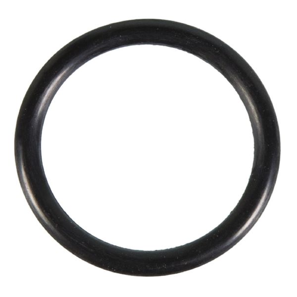 1992-1999 Toyota Paseo Engine Coolant Pipe O-Ring - Inlet Pipe To Engine (FelPro)