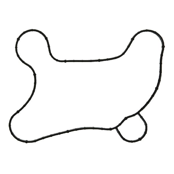 2011-2014 Ford F-150 Engine Water Pump Gasket - Inner (FelPro)
