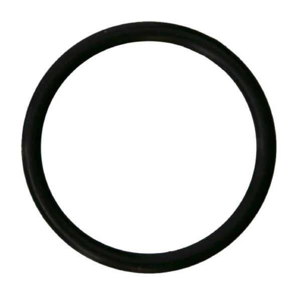 2014-2021 Ram 1500 Engine Water Pump Seal - Inlet or Outlet (FelPro)