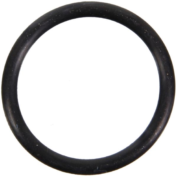 2006-2017 Hyundai Azera Engine Coolant Pipe O-Ring (FelPro)