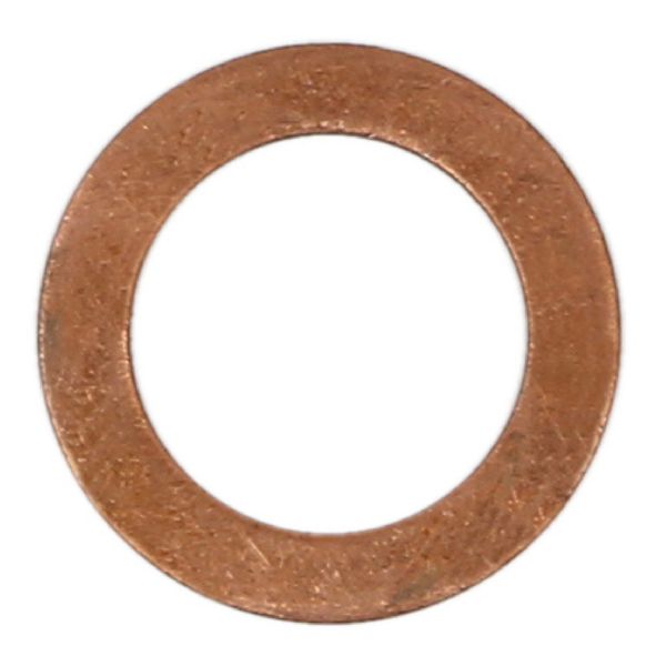 2006-2007 Hyundai Azera Engine Oil Drain Plug Gasket (FelPro)