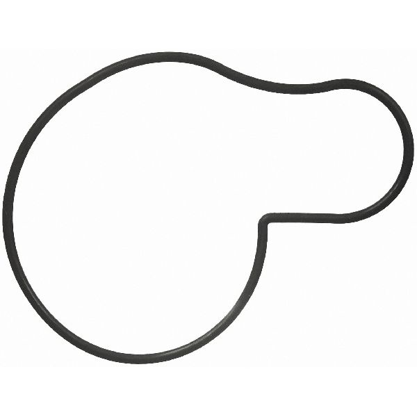 2003-2005 Dodge Neon Engine Water Pump Seal (FelPro)