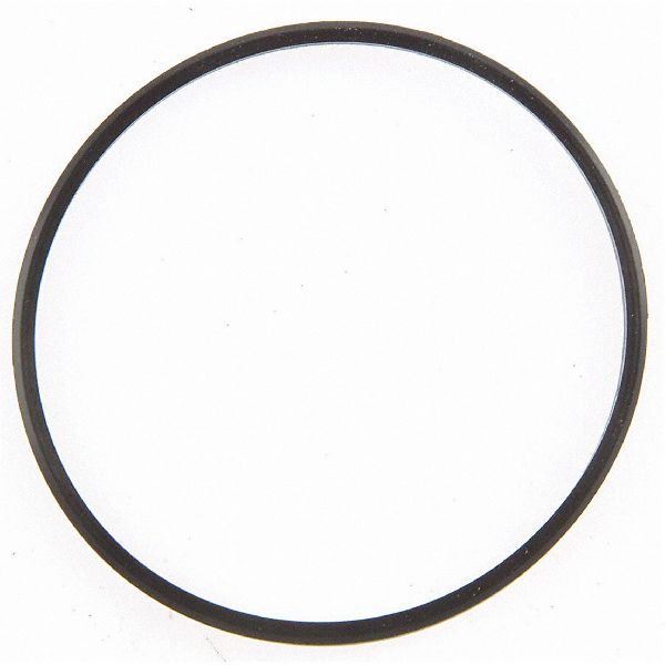 2000-2003 Ford Excursion Engine Coolant Thermostat Housing Seal (FelPro)