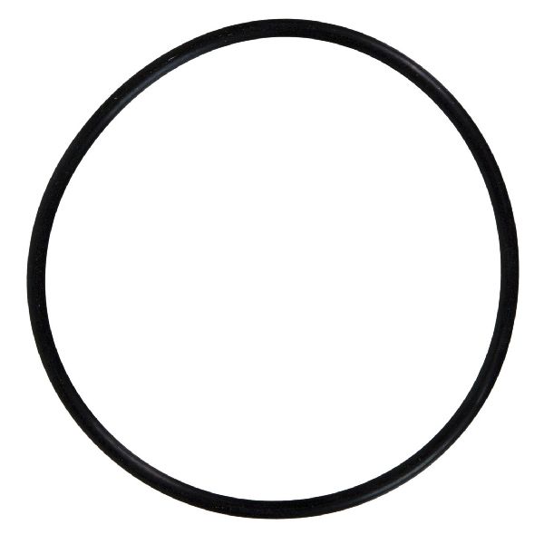 2006-2010 Chevrolet Express 3500 Fuel Injection Plenum O-Ring (FelPro)