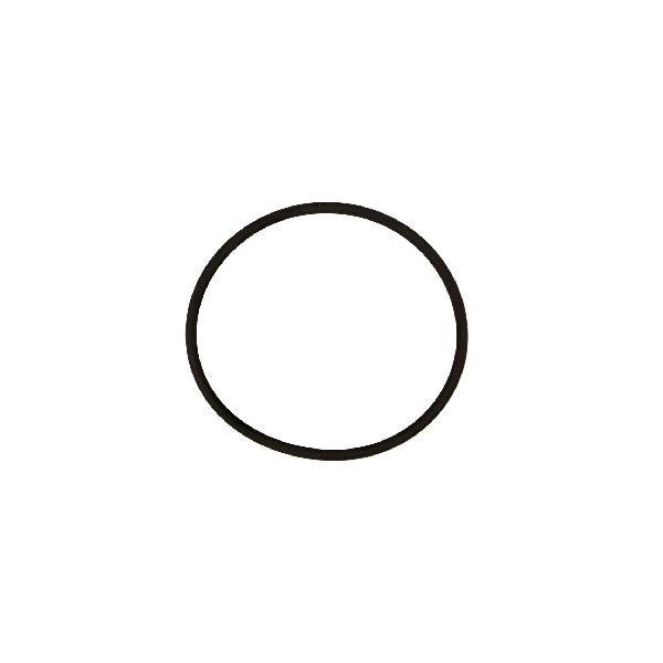 2008-2010 Ford F-250 Super Duty Axle Output Shaft Seal - Rear (FelPro)