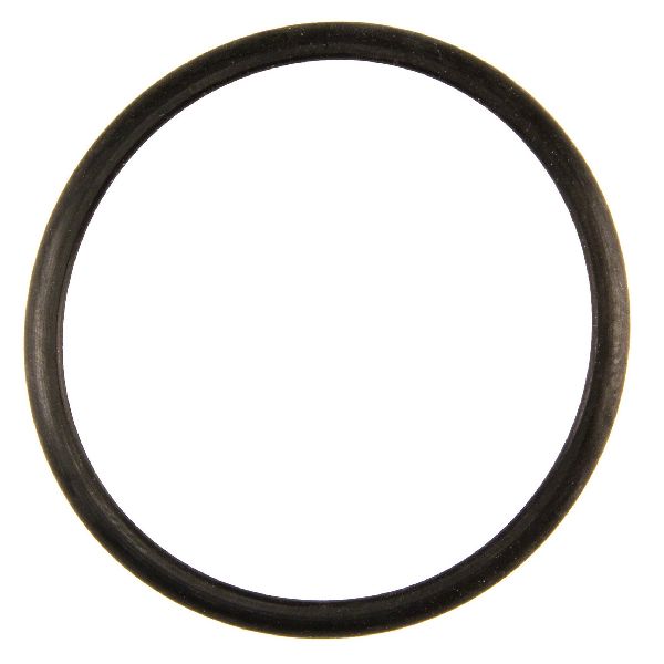 2000-2002 Lincoln LS Engine Coolant Thermostat Seal (FelPro)