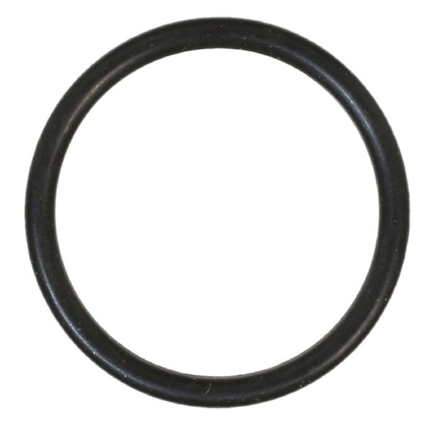 2007-2015 Mini Cooper Engine Coolant Thermostat O-Ring (FelPro)