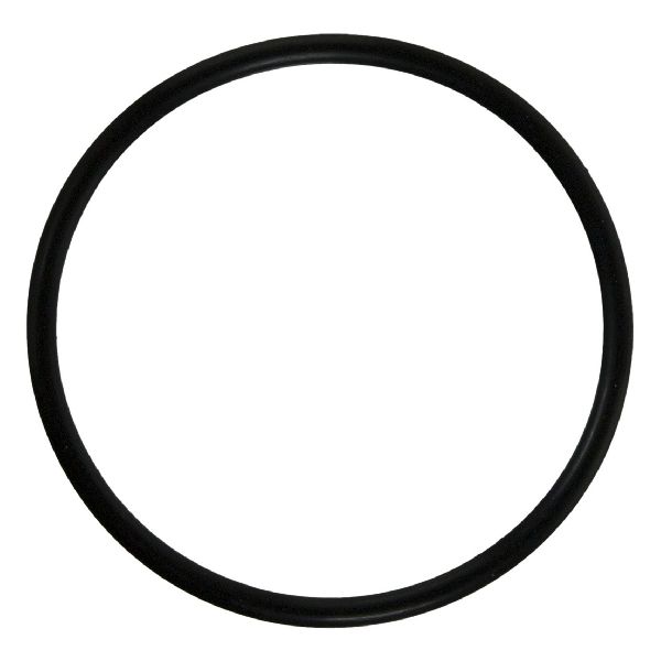 2004-2005 GMC Sierra 3500 Fuel Injection Plenum Seal (FelPro)