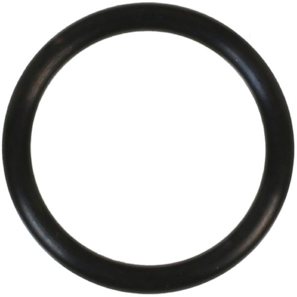 1985-1986 Chevrolet Astro Distributor O-Ring (FelPro)