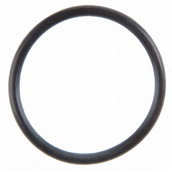 2003-2009 Dodge Durango Fuel Injection Idle Air Control Valve Seal (FelPro)