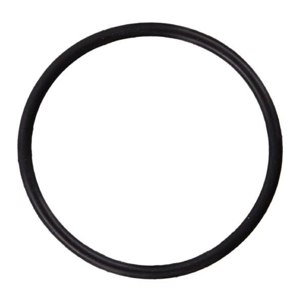 2017-2020 Genesis G80 Fuel Pump O-Ring (FelPro)