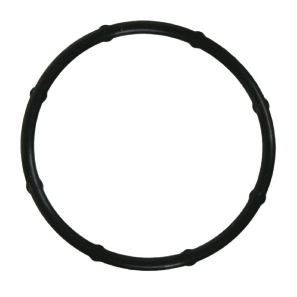 2016-2018 Hyundai Tucson Engine Coolant Thermostat Housing Seal (FelPro)