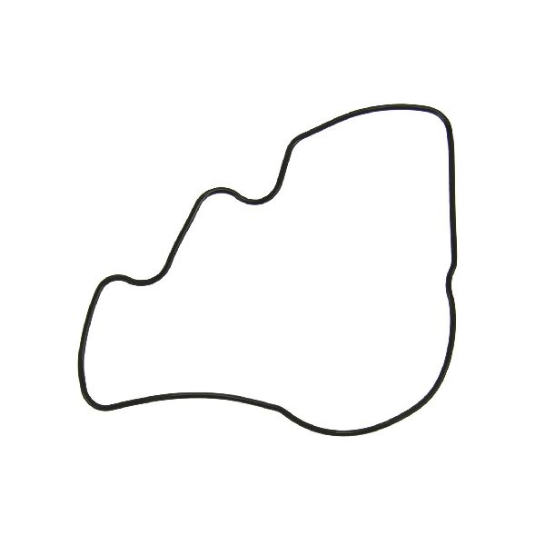 1999-2001 Toyota Solara Engine Oil Pump Seal (FelPro)