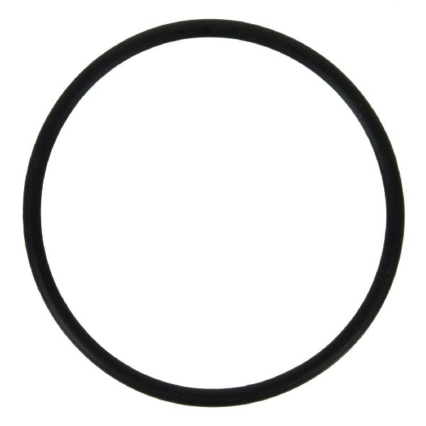 2008-2009 Subaru Legacy Engine Water Pump O-Ring - Outer (FelPro)