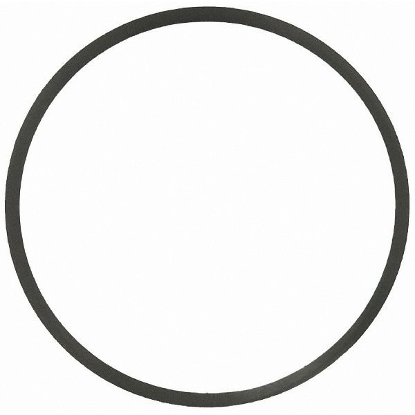 2000-2003 Ford Excursion Engine Coolant Thermostat Seal (FelPro)