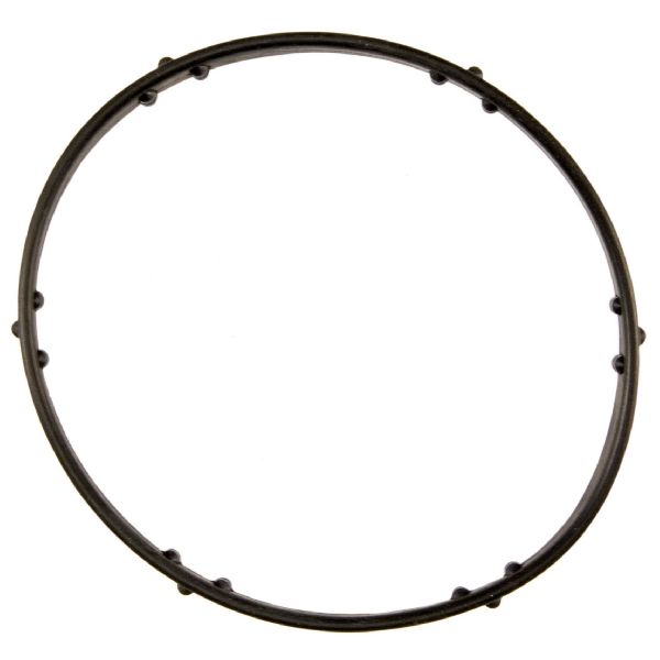 2003-2006 Lincoln LS Engine Coolant Thermostat Seal (FelPro)