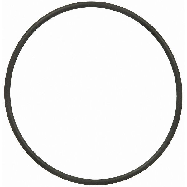 2005-2010 Chrysler 300 Engine Water Pump O-Ring (FelPro)