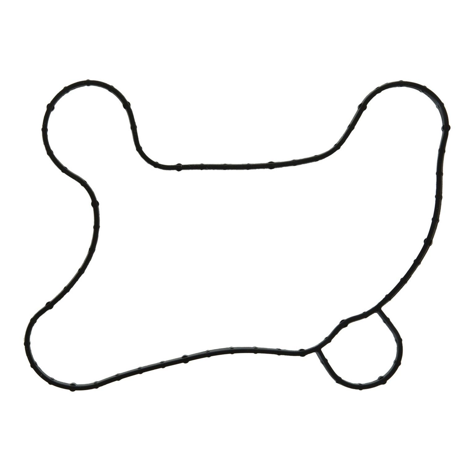 2014, 2013, 2012, 2011 Ford Mustang Engine Water Pump Gasket