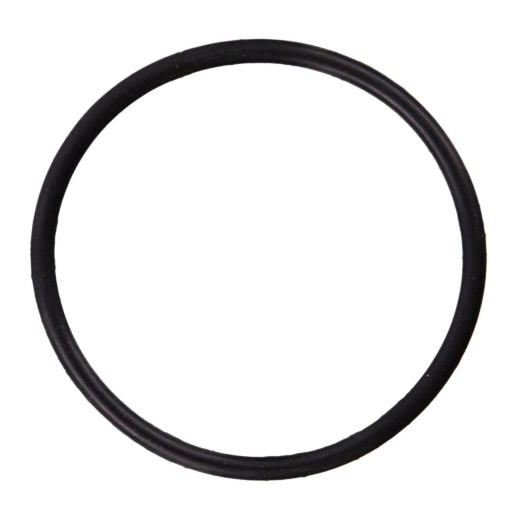 Fuel Pump O-Ring
