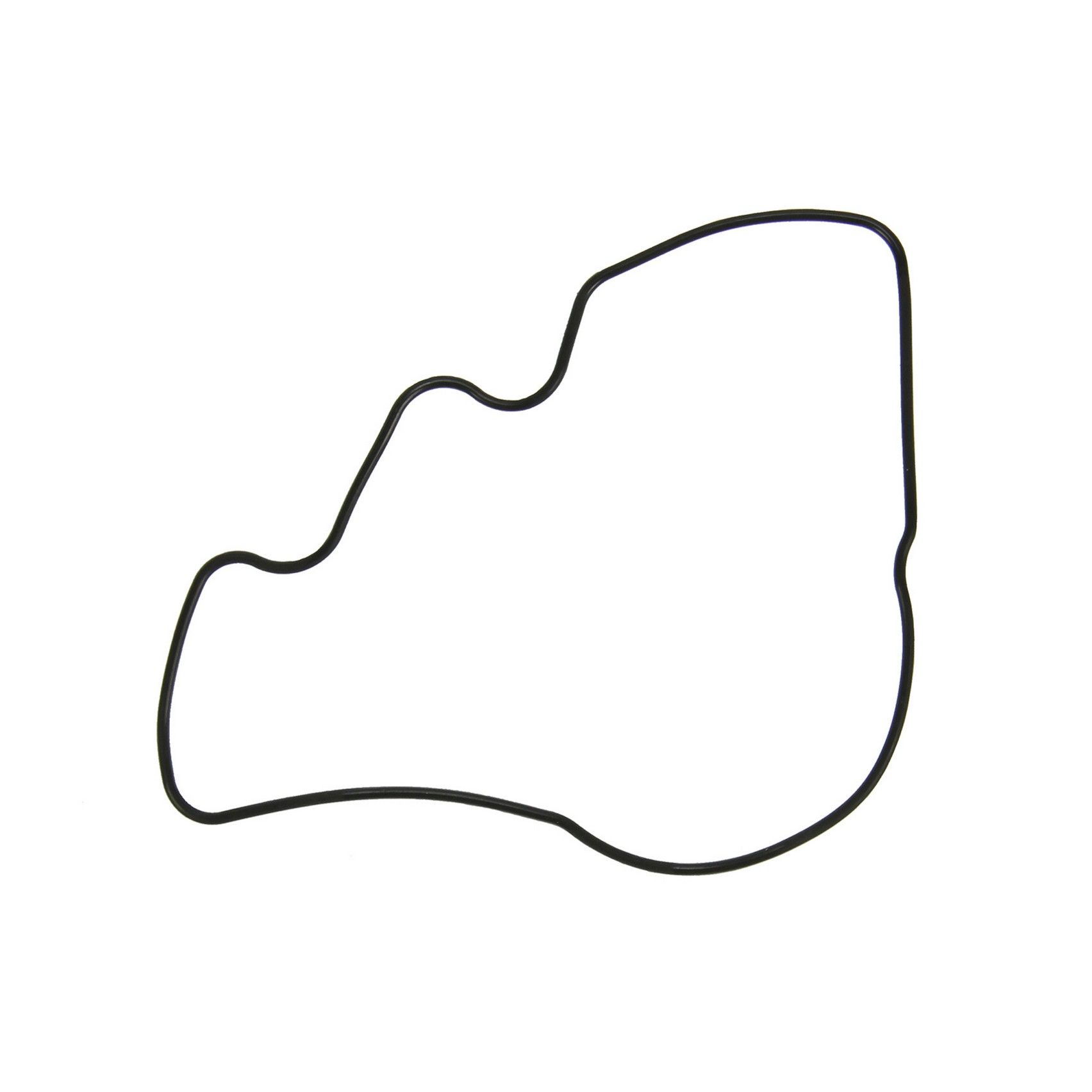 2003, 2002, 2001, 2000, 1999, 1998, 1997, 1996 Toyota RAV4 Engine Oil Pump Seal