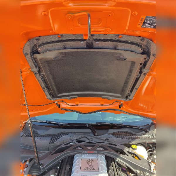 2020-2022 Ford Mustang Hood Scoop (Ford Performance)