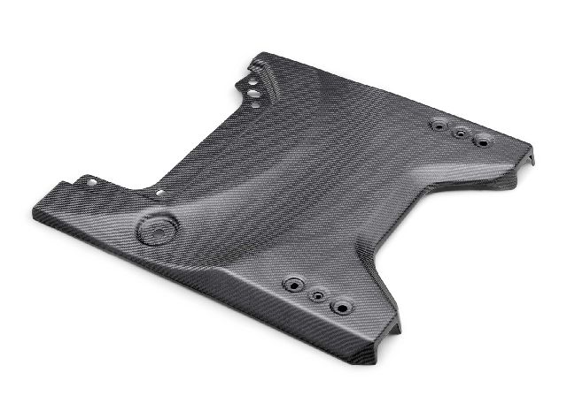 2022-2024 Ford Bronco Tailgate Panel (Ford Performance)