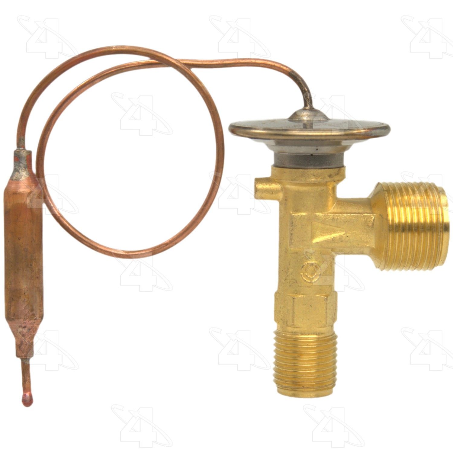 View 6