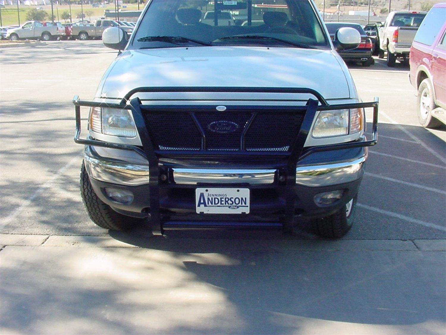 2002, 2001, 2000, 1999 Ford Expedition Grille Guard