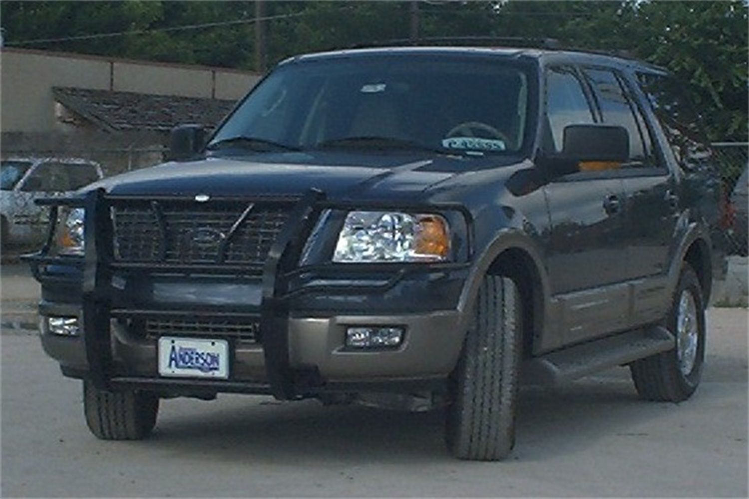 2006, 2005, 2004, 2003 Ford Expedition Grille Guard