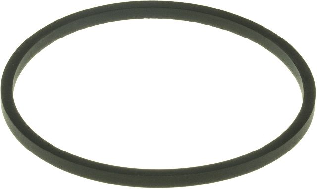 2000-2003 Ford Excursion Engine Coolant Thermostat Seal (Gates)