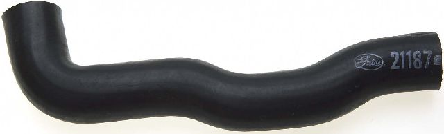 1980-1984 Volkswagen Jetta Engine Coolant Bypass Hose (Gates)