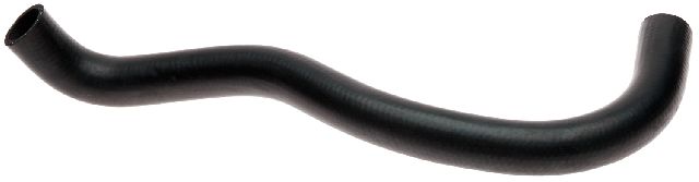 1995-2004 Toyota Tacoma Radiator Coolant Hose - Lower (Gates)